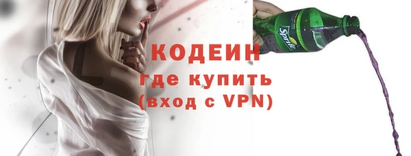 индика Краснотурьинск