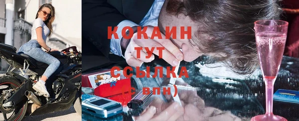 индика Краснотурьинск
