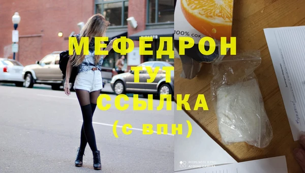 индика Краснотурьинск